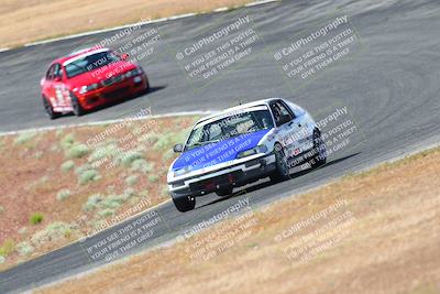 media/May-06-2023-Lucky Dog Racing (Sat) [[8f2256f436]]/Turn 2 10a/